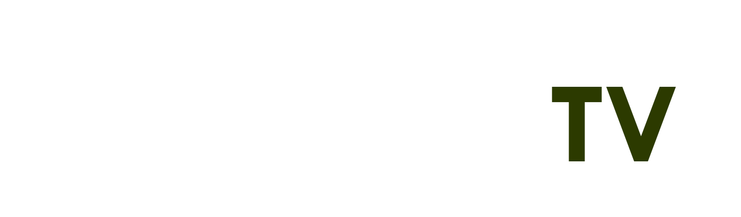tiểu sử